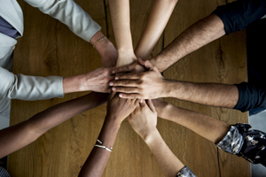 Developing Leadership Diversity
